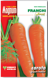 Carrot - Gigante Flakkee (23-13) – Seeds from Italy