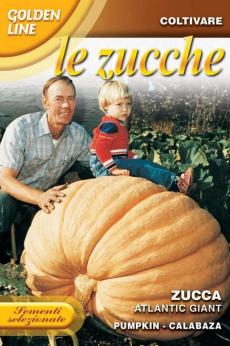 Pumpkin Atlantic Giant (145-20)