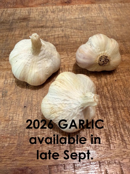 Garlic Sicilian Artichoke - Softneck Artichoke type