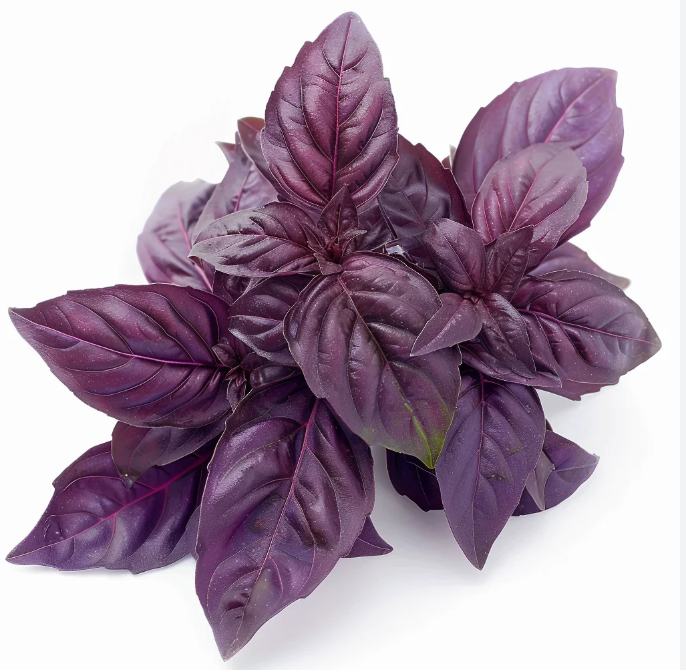 Seedling Bundle - Herb Mix (Spring)