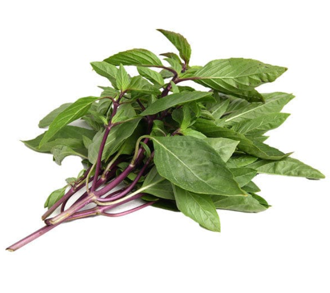 Seedling Bundle - Herb Mix (Spring)
