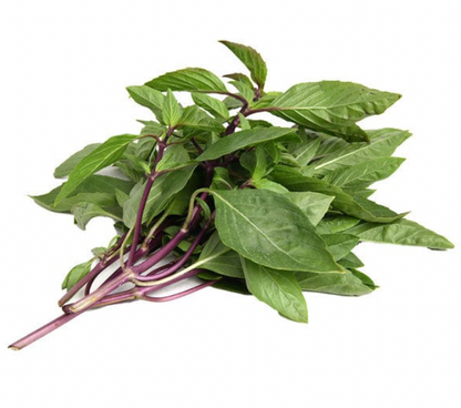 Seedling Bundle - Herb Mix (Spring)