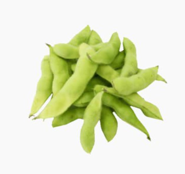 Seedling Bundle - Roots & Shoots Bundle (Spring)