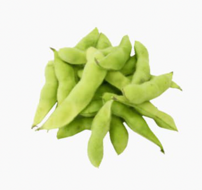 Seedling Bundle - Roots & Shoots Bundle (Spring)