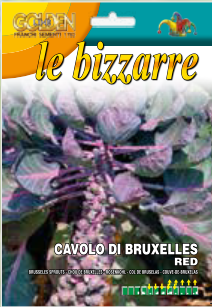 Red Brussels Sprout (24-3)