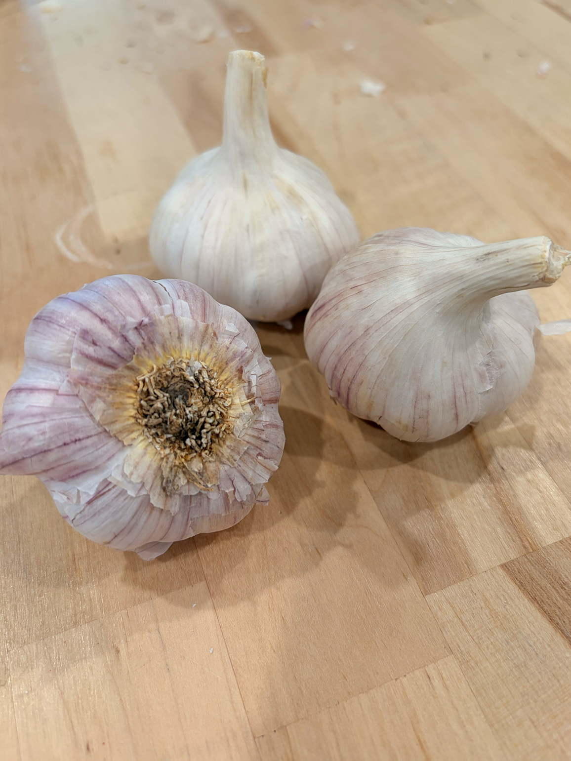 Garlic Chesnok Red - Hardneck