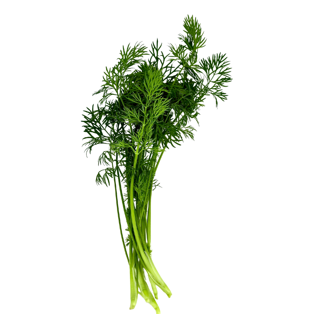 Seedling Bundle - Herb Mix (Spring)