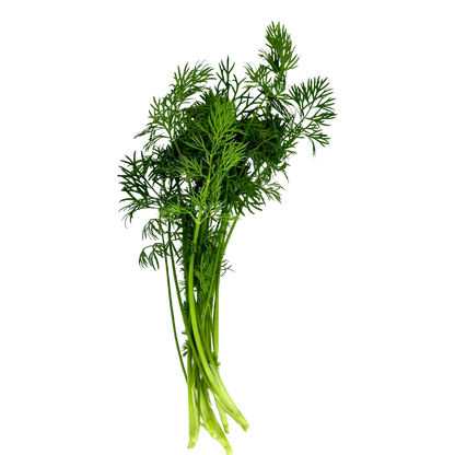 Seedling Bundle - Herb Mix (Spring)