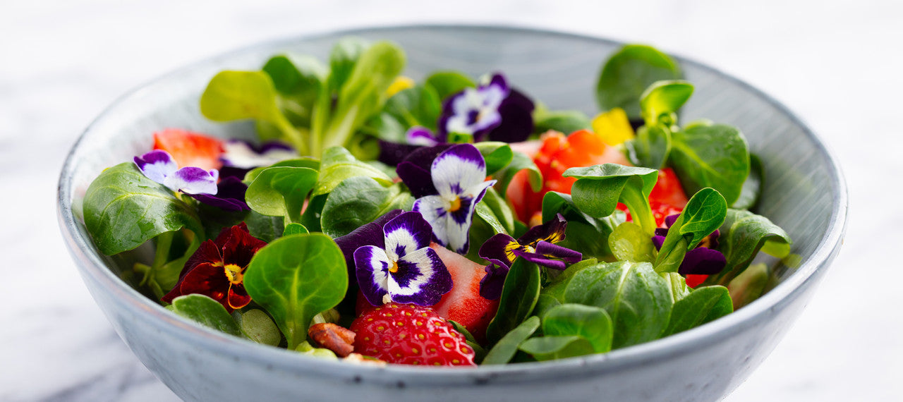Edible Flower Mix (322-24)