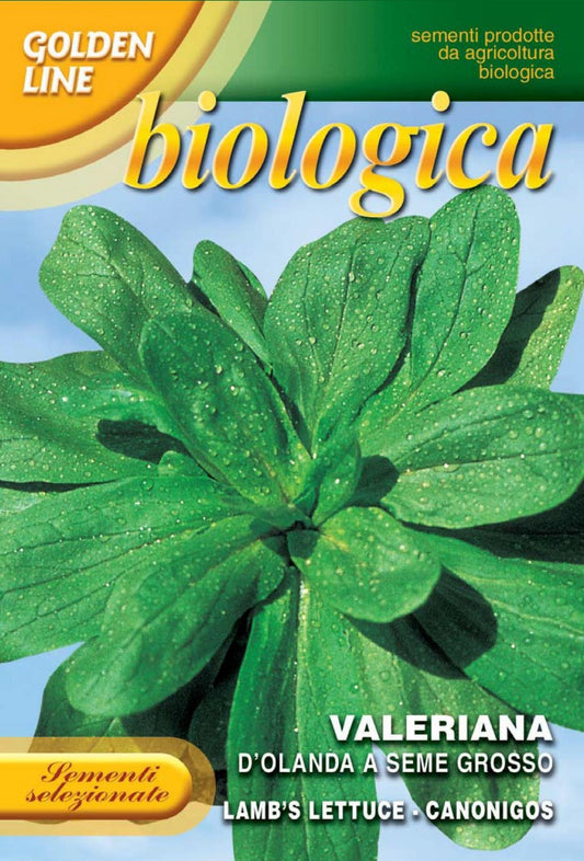 Valeriana d'Olanda -- Certified Organic (140-3B)