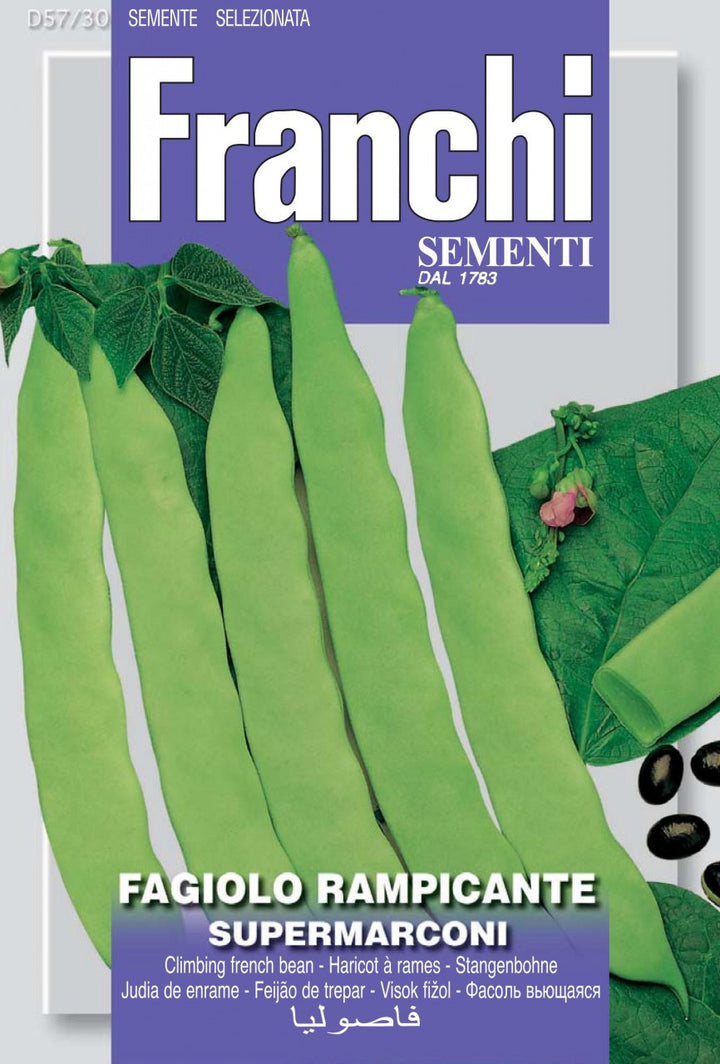 Italian Bean Seeds: Flat, Green, & Pole Varieties - Seeds from Italy