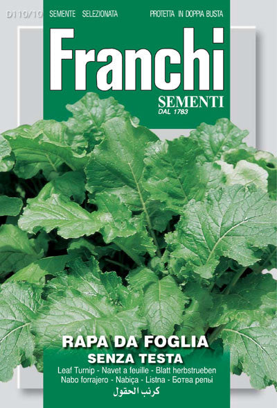 Rapa da Foglia senza Testa (110-10)