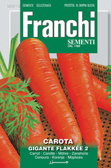 Carrot - Gigante Flakkee (23-13) – Seeds from Italy