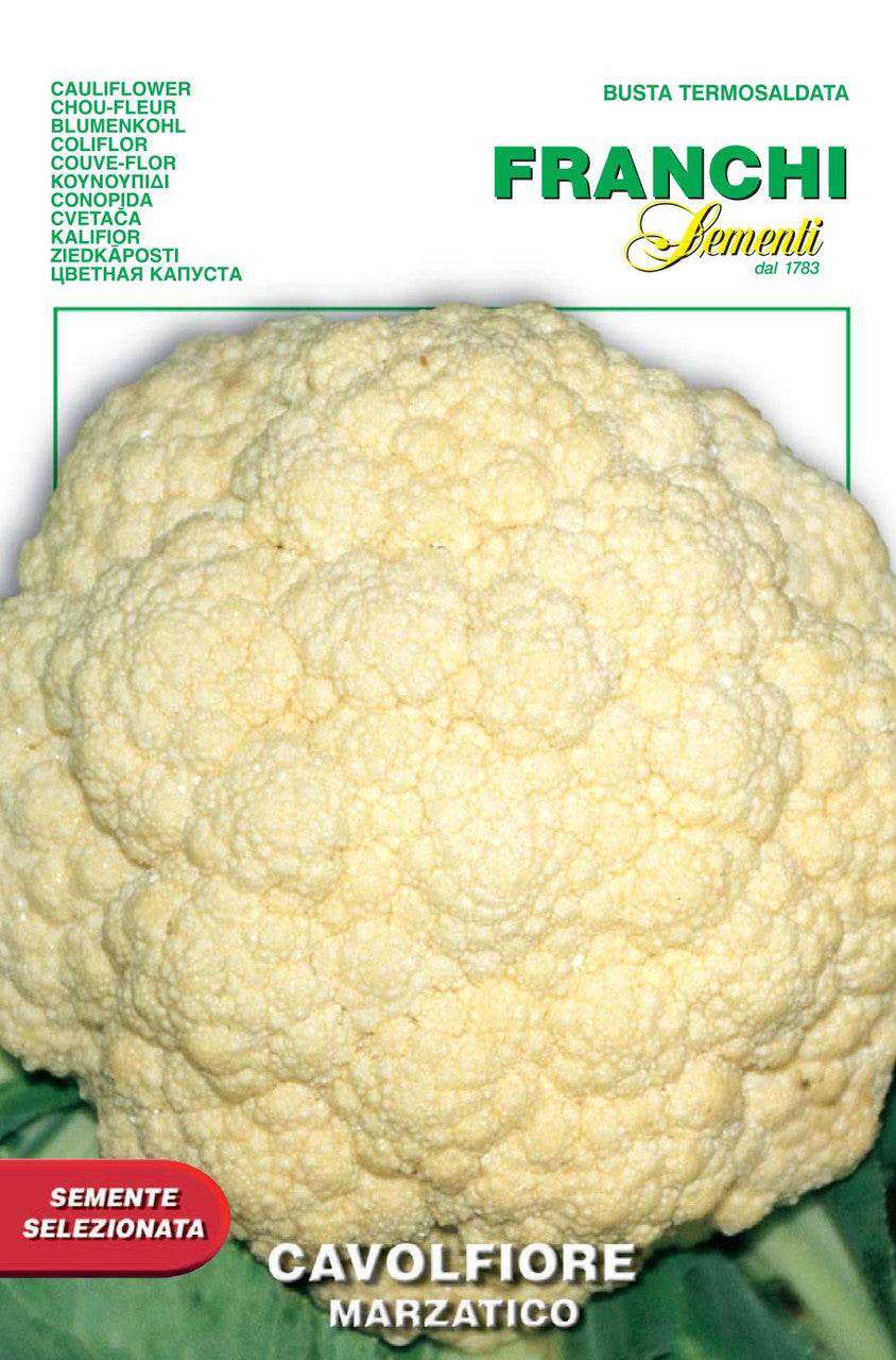 Cauliflower Gigante di Napoli Marzatico (30-50)