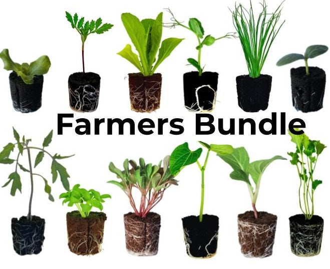 Seedling Bundle - Farmers Bundle (Spring)