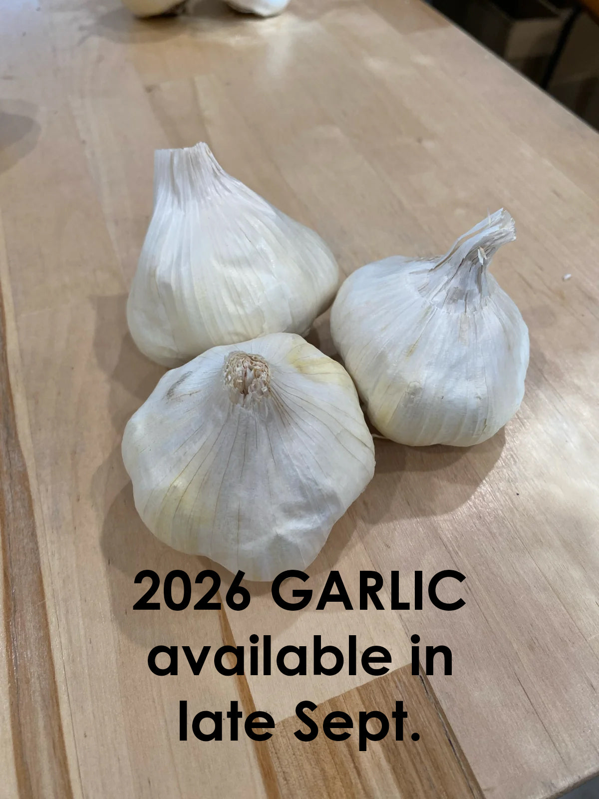 Garlic Godfather's Italian - Artichoke type