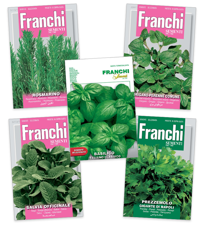 Italian Herb Bundle Seeds from Italy