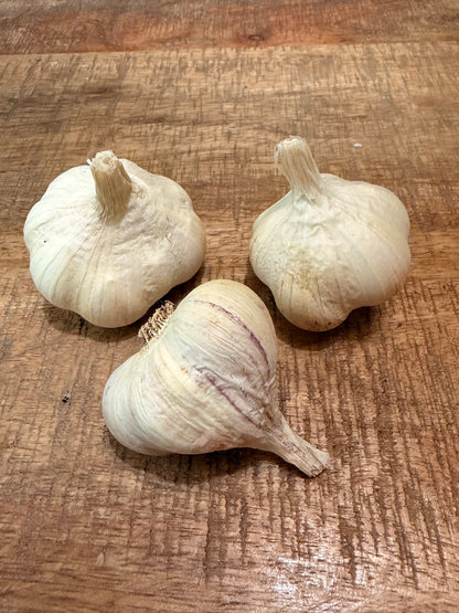 Garlic Sicilian Artichoke - Softneck Artichoke type