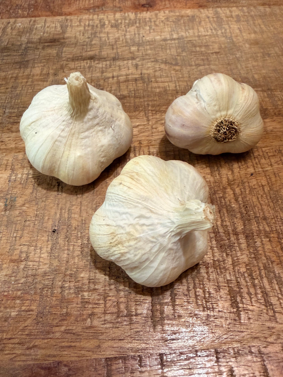 Garlic Sicilian Artichoke - Softneck Artichoke type