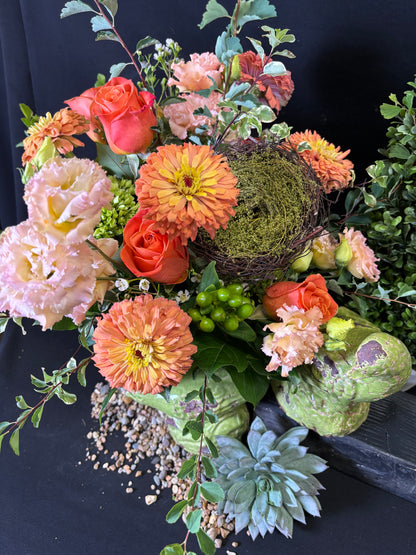 Prairie Peach Zinnia