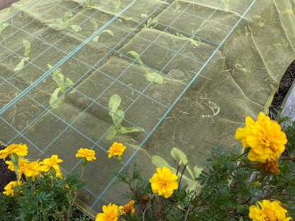 Micromesh Insect Barrier Blanket - 8' x 8' with loops