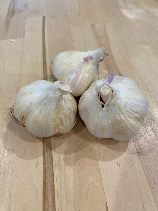 Garlic Music - Hardneck