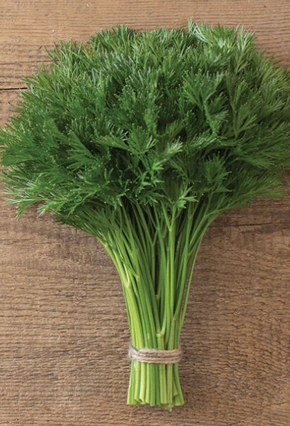 Seedling Bundle - Herb Mix (Spring)