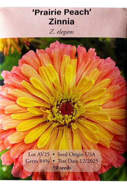 Prairie Peach Zinnia
