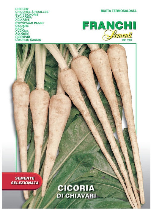Root Chicory - Cicoria di Chiavari  (40-14)