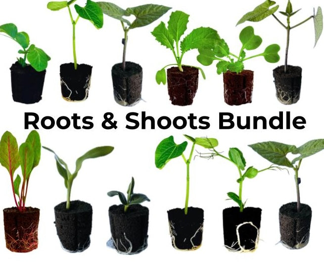 Seedling Bundle - Roots & Shoots Bundle (Spring)
