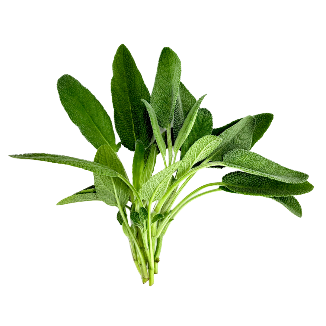 Seedling Bundle - Herb Mix (Spring)