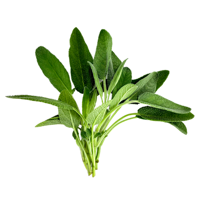 Seedling Bundle - Herb Mix (Spring)