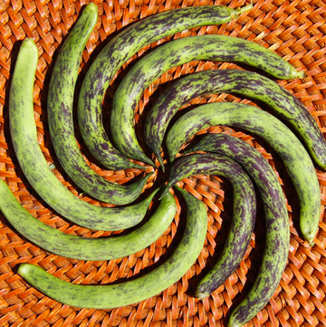 Pole Beans – Seeds from Italy