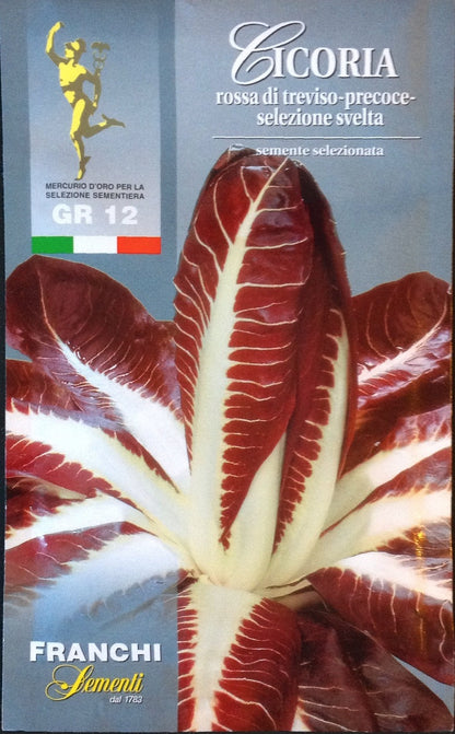 radicchio la rosa del veneto seeds Radicchio Rossa Treviso sel Svelta (40-53) – Seeds from Italy