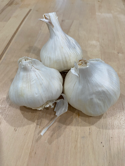 Garlic Sicilian Silver - Softneck Silverskin type