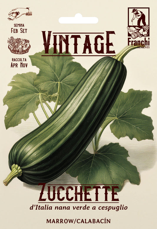 Vintage Zucchini D'Italia Nana Verde
