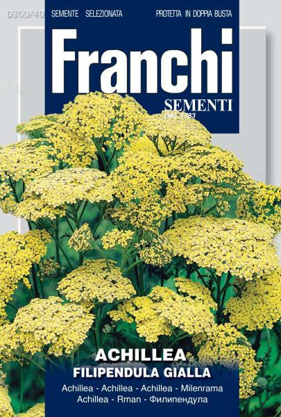 Achillea Gialla/ Yarrow (300-40)