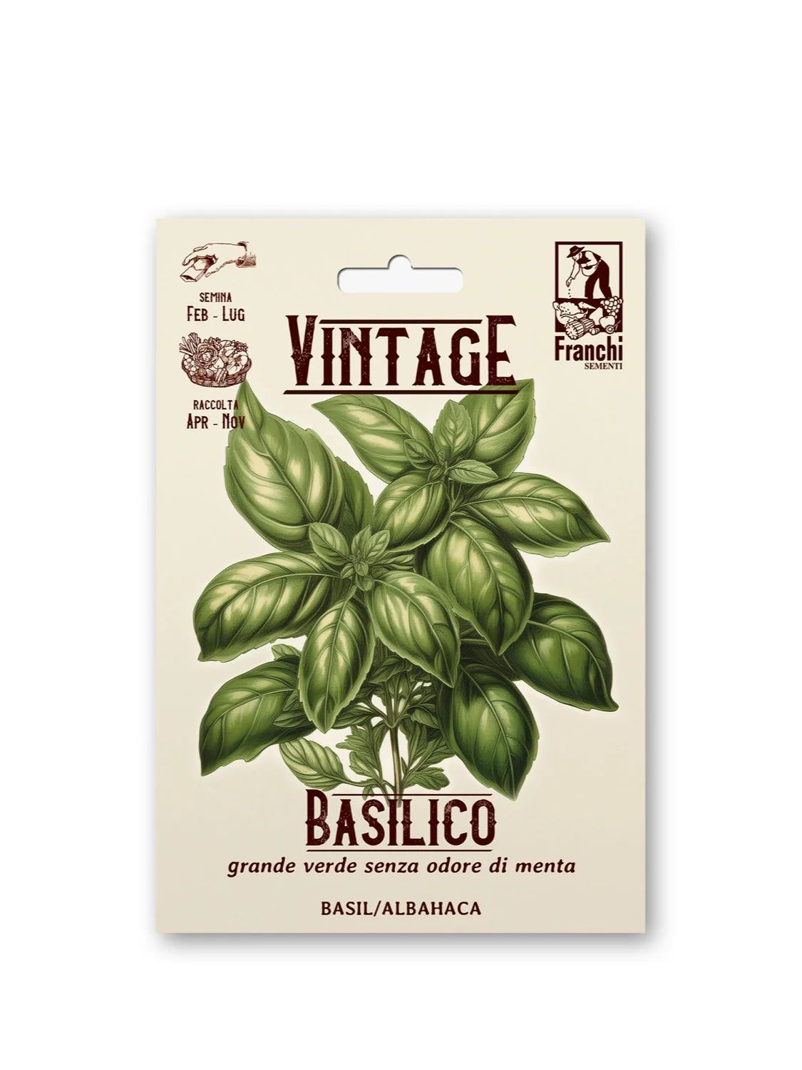 Vintage Basil - Grande Verde Senza Odore di Menta