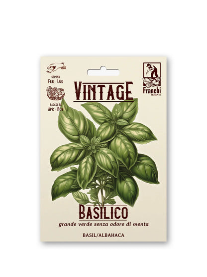 Vintage Basil - Grande Verde Senza Odore di Menta