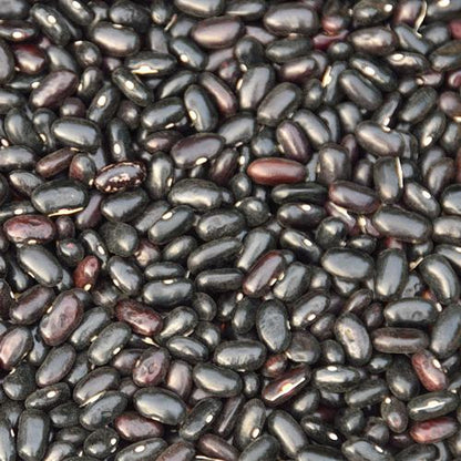 Seedling Bundle - Roots & Shoots Bundle (Spring)