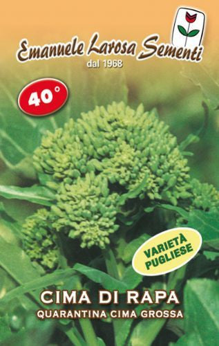Cima di Rapa Quarantina (40 day) Cima Grossa Fasanese (41-96)