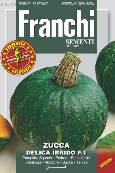 Zucca Delica Ibrido F1 (145-14)