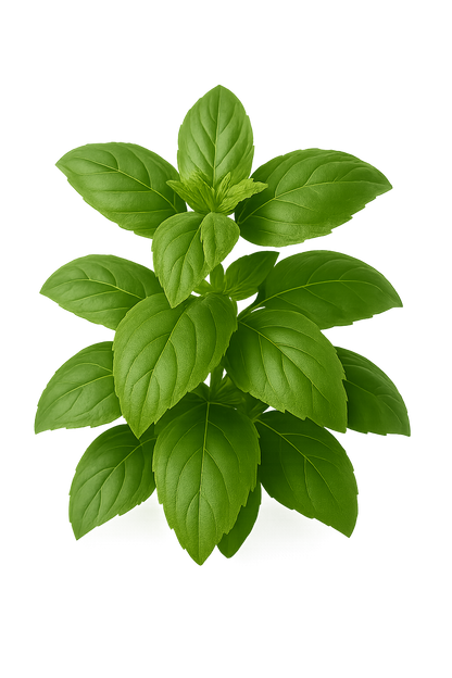Farmers' Seedling Bundle
