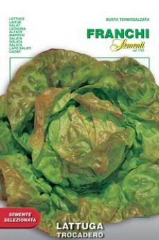 Lettuce Trocadero (79-12)