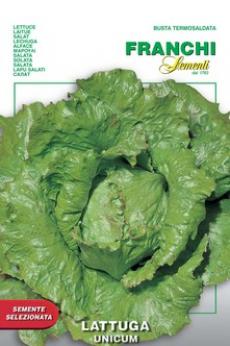 Lettuce Unicum (86-6)