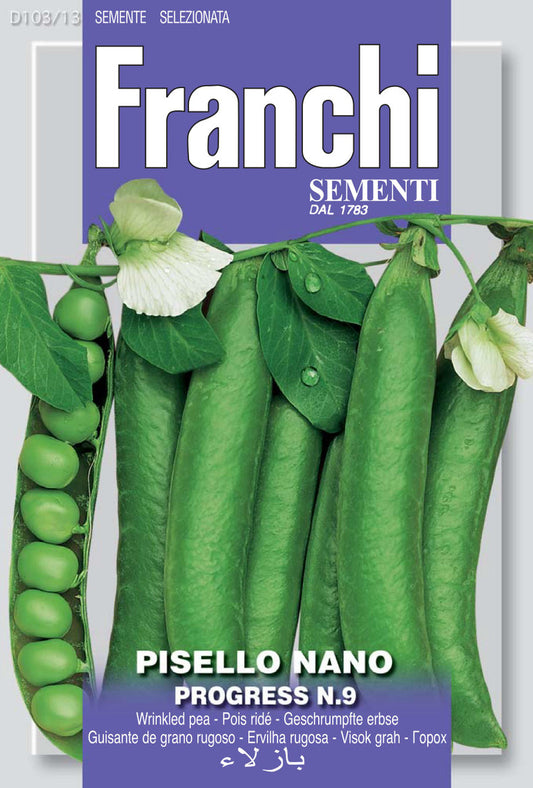 Pea Progress No. 9 (103-13)