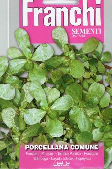 Porcellana Comune - Purslane (107-100)