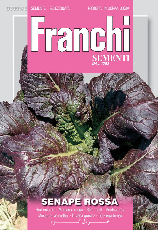 Red Mustard/Senape Rossa (3006-2)