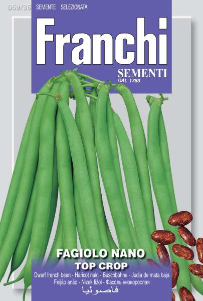 Bush Bean Top Crop (59-36)